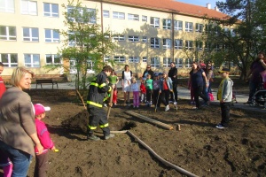 foto_1391